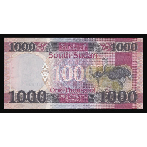 South Sudan, 1000 Pounds 2020