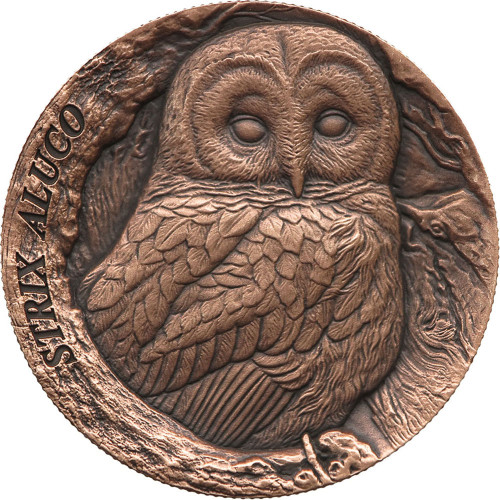 Samoa, 25 Cents 2023, Tawny Owl