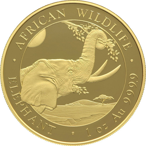 Somalia, 1000 Shillings 2023, Elephants (1 Oz)