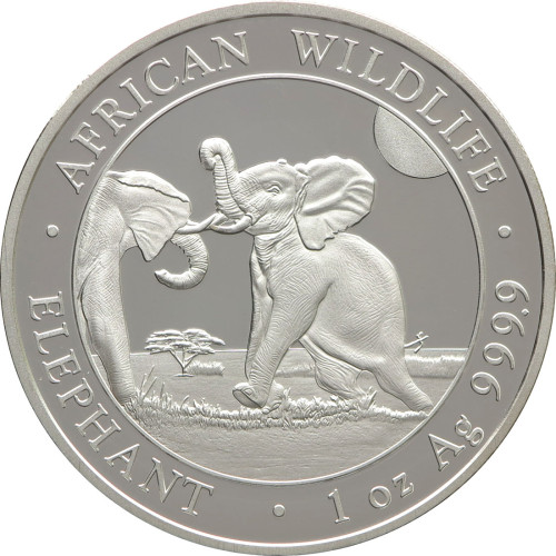 Somalia, 100 Shillings 2024, Elephant (1 Oz)