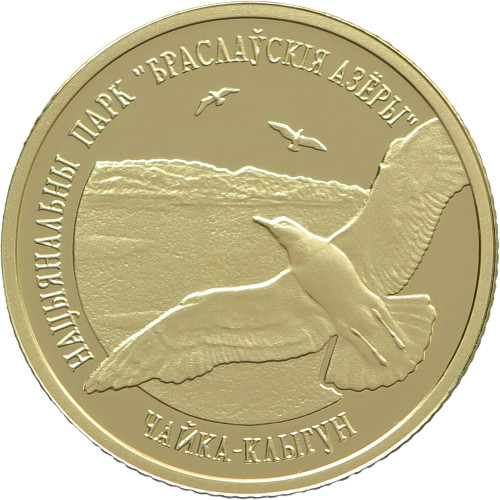 Belarus, 50 Roubles 2006, Herring gull in Flight