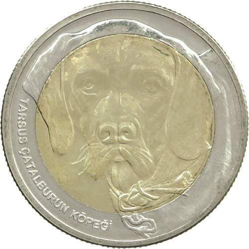 Turkey, 1 Kurush 2021, Tarsus dog