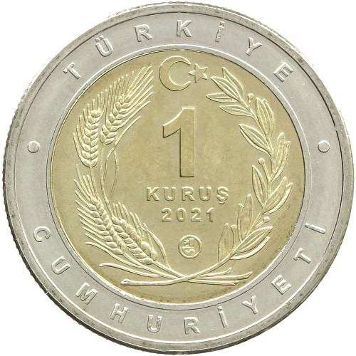 Turkey, 1 Kurush 2021, Caracal