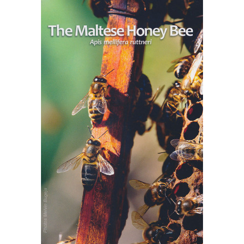 Malta, 2 Euro 2024, The Maltese Honey Bee